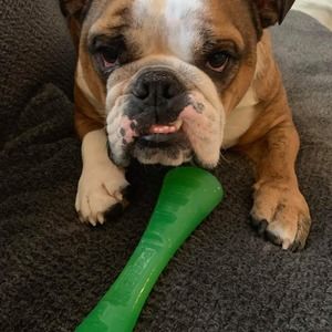 Meet your Posher, Brian